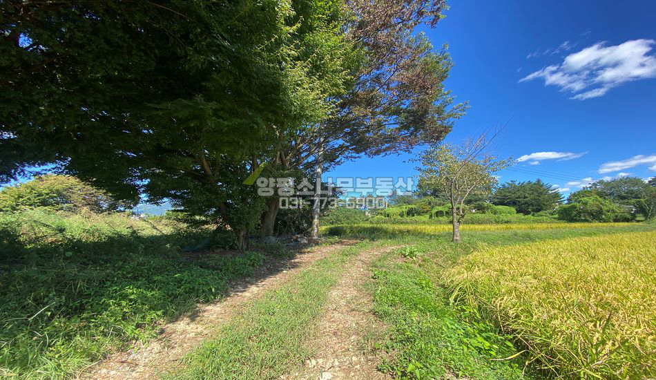 양평군 양평읍 창대리 2차선도로 접한 근생부지