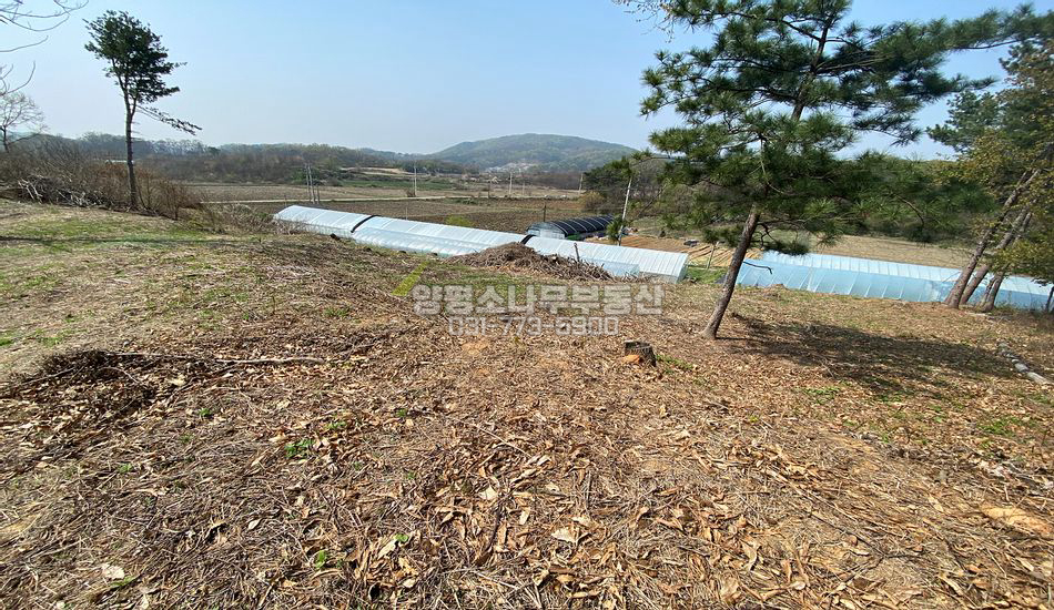 양평군 개군면 계전리 묫자리