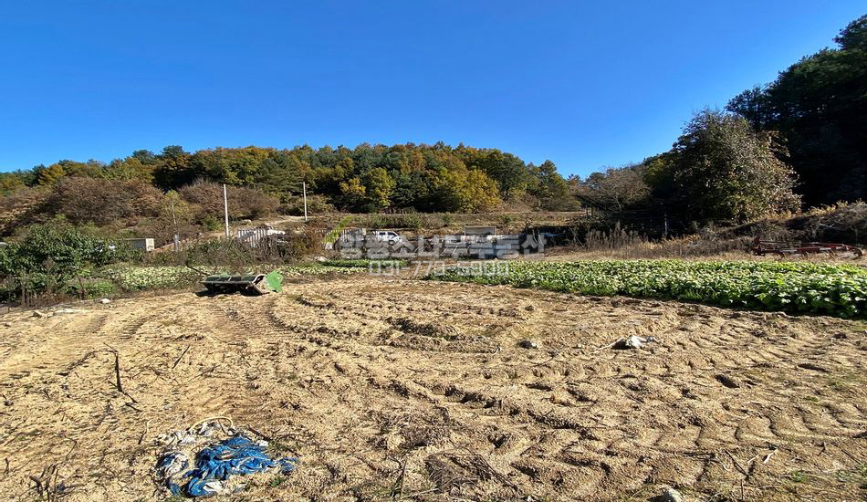 홍천군 영귀미면 후동리 기존 마을내 집터/옛 구옥