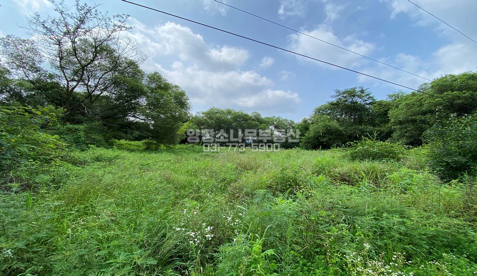 양평군 지평면 망미리 대로변 인근 저렴한 평지