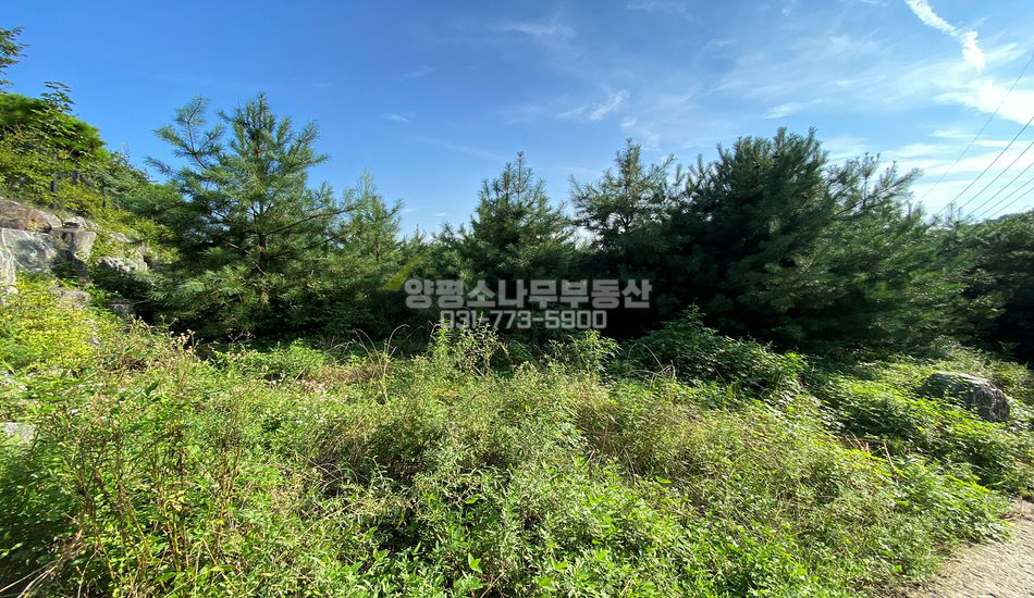 양평군 옥천면 용천리 아늑한 단지형 주택지