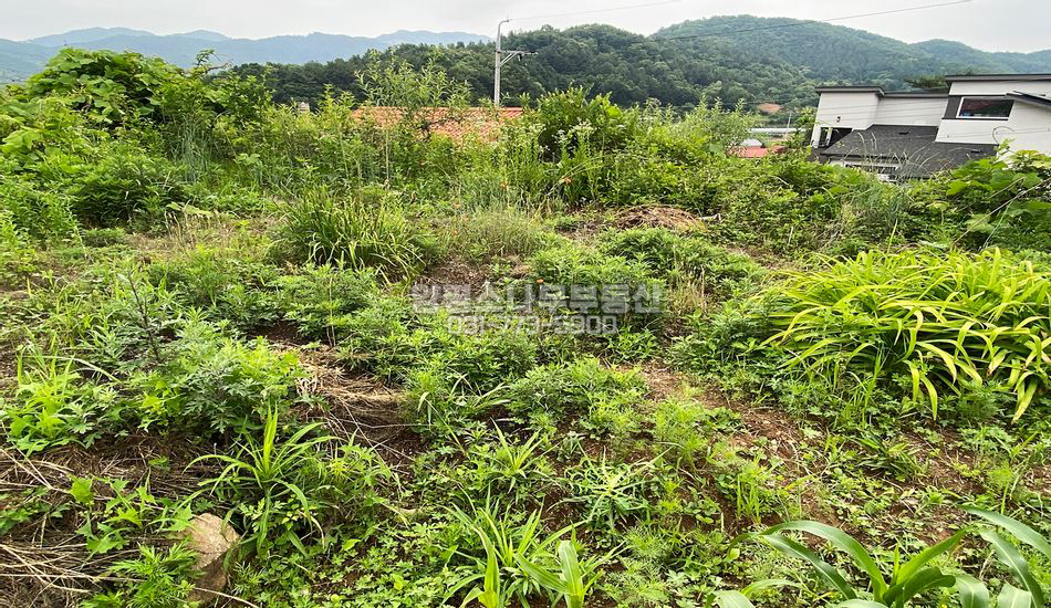 양평군 서종면 수능리 접근성 좋은 주택지/편의시설 차량5분