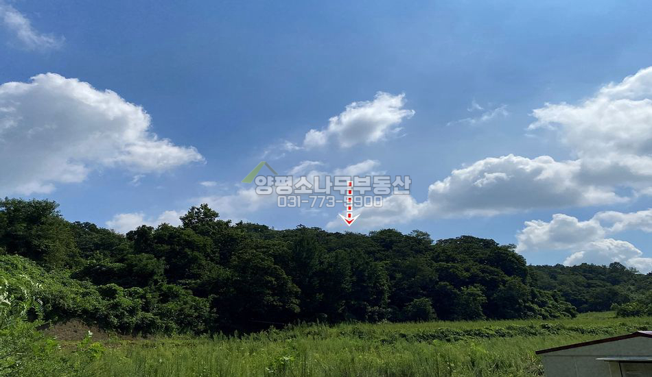 양평군 양동면 쌍학리 산 속 맹지
