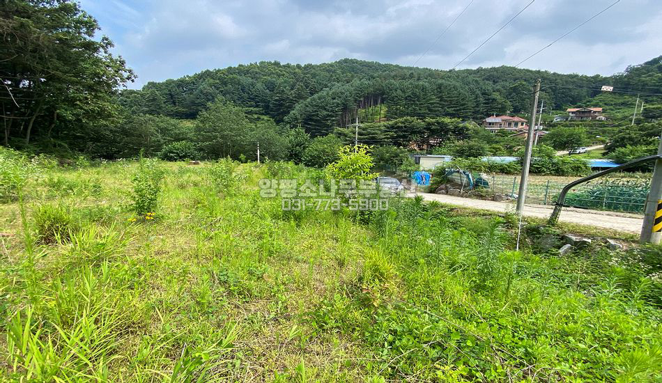 양평군 강하면 항금리 평편한 산자락 필지