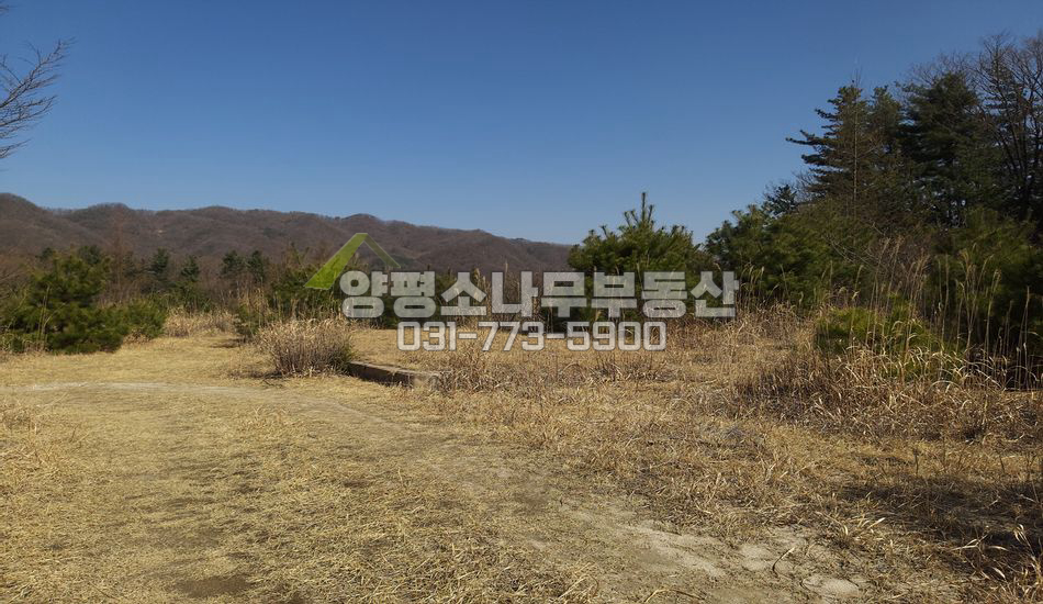 양평군 양동면 고송리 산속 깊숙한곳/토목완료