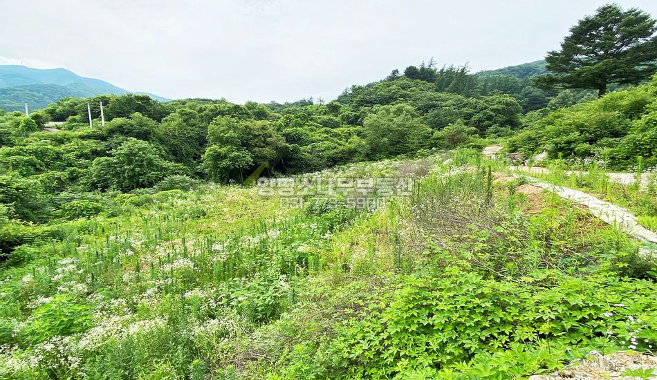 양평군 강하면 성덕리 지방도 가까운곳 평편한 부지