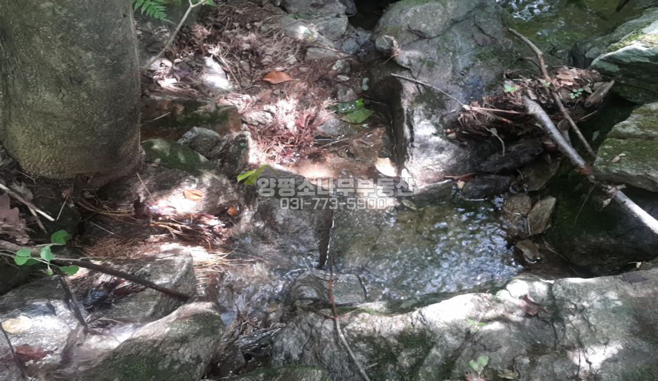 양평군 단월면 석산리 마을 끝 개울접한 곳