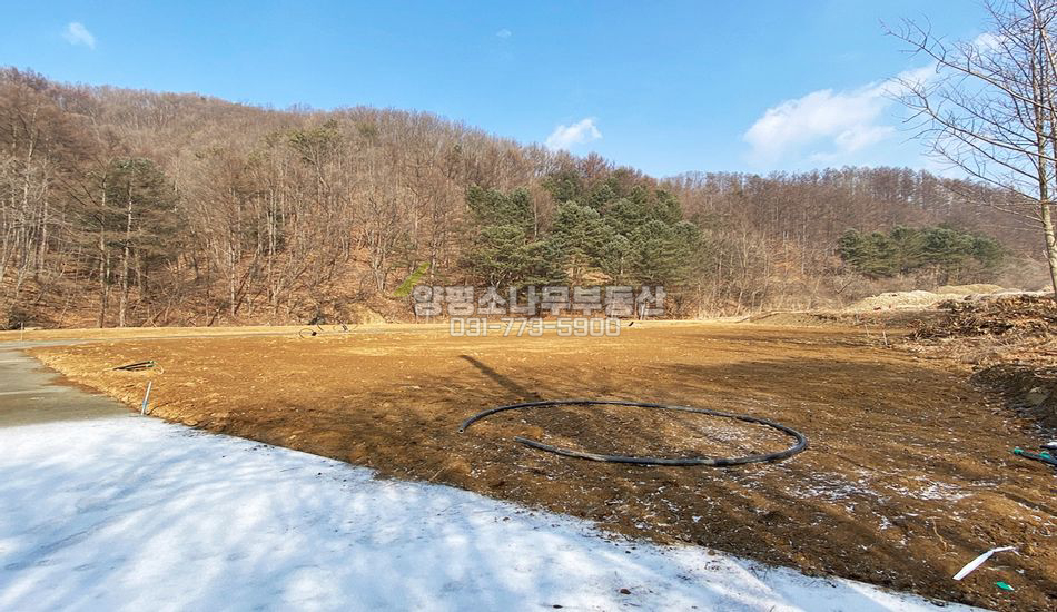 양평군 단월면 부안리 산세좋은곳 소형 주택지/기반완료