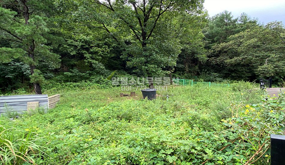 양평군 지평면 무왕리 인적드문 마을 상단 산자락/분할매매가능