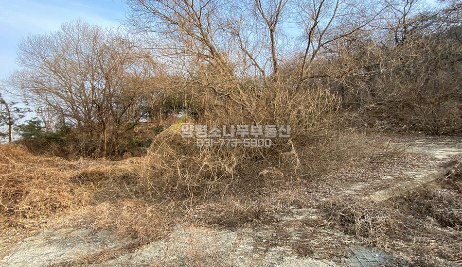 양평군 양서면 증동리 단지상단 개발부지