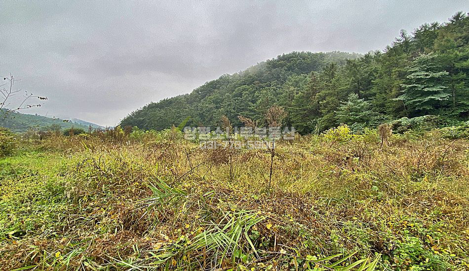 양평군 옥천면 신복리 산자락 주택지/비포장도로