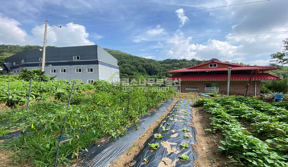 양평군 양서면 청계리 평지 주택지/국수역 차량5분
