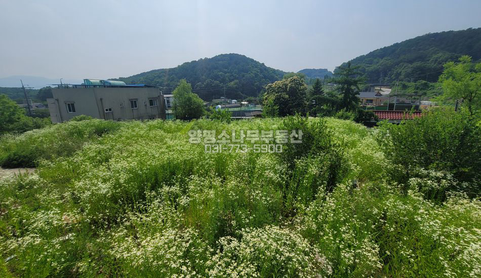 양평군 양서면 복포리 잘닦인 단지초입 주택지