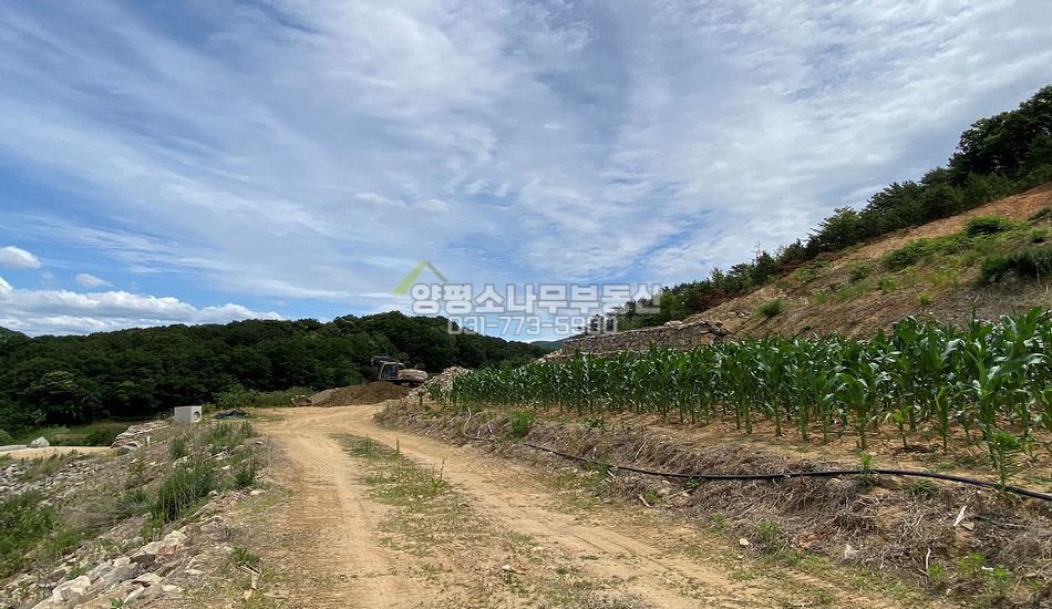 양평군 지평면 지평리 지평역1.3km/개발부지/단지