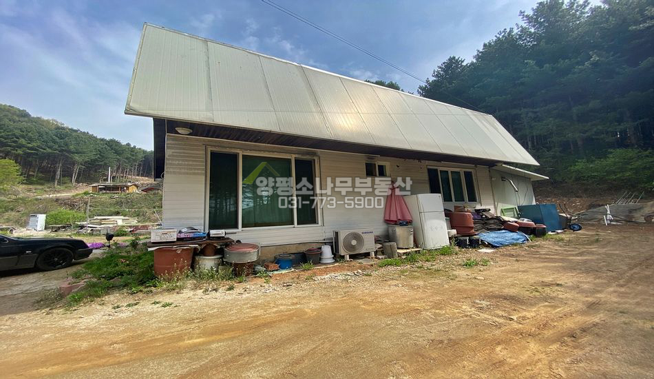 양평군 용문면 신점리 [보류]잣나무숲 독립적 입지