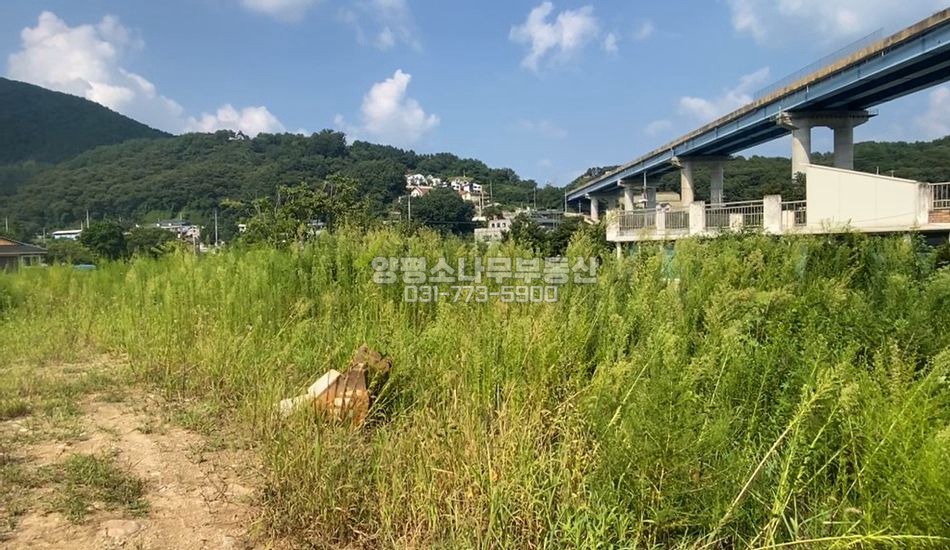 양평군 용문면 다문리 150평분할가능/평지주택지/용문역 3분