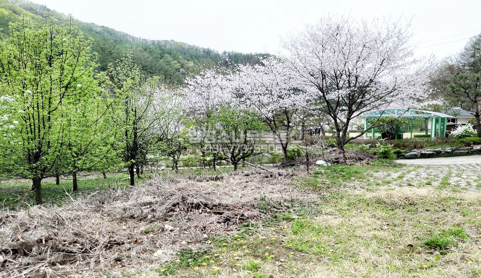 양평군 청운면 가현리 산자락 계곡인근 풍광좋은곳