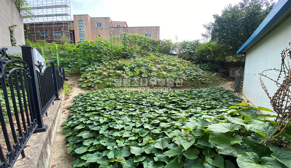 양평군 양평읍 양근리 역세권 텃밭/맹지