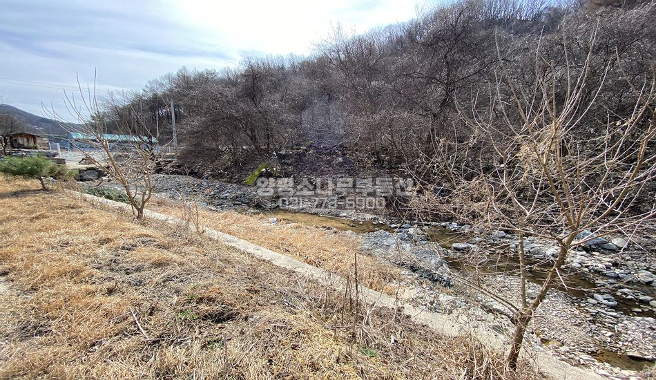 양평군 양동면 고송리 도로따라 기다란 부지