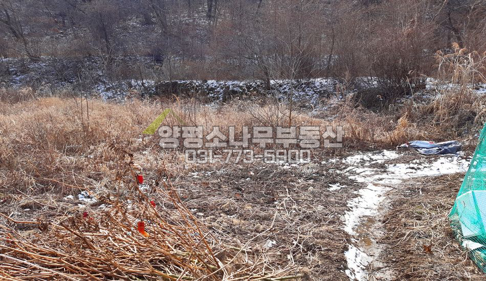 양평군 강상면 대석리 마을 깊숙한 곳 개울접한 필지