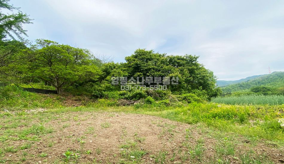 양평군 단월면 향소리 접근성 좋은 다용도 잡종지/축사,주택,창고