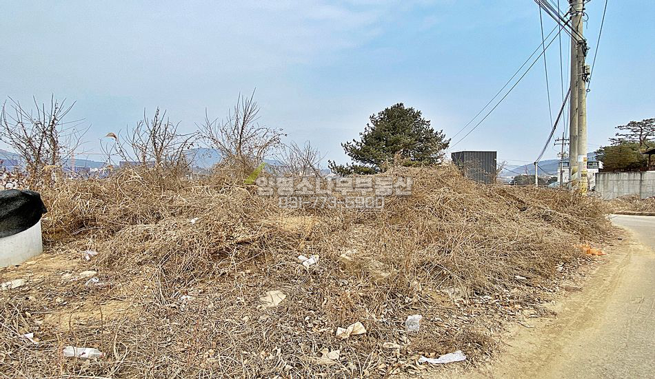 양평군 용문면 다문리 흑천변 주택지/용문역3km