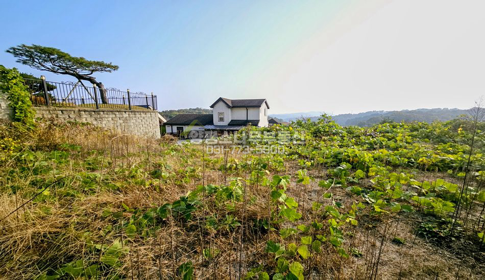 양평군 개군면 주읍리 중규모 단지형 주택지/토목완료