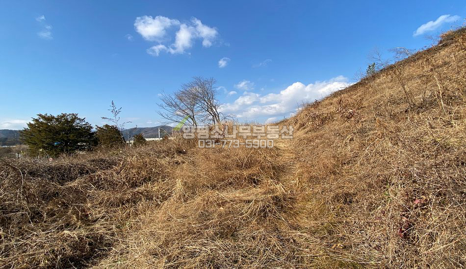 양평군 청운면 용두리 대로변 저렴한 임야/건축허가得