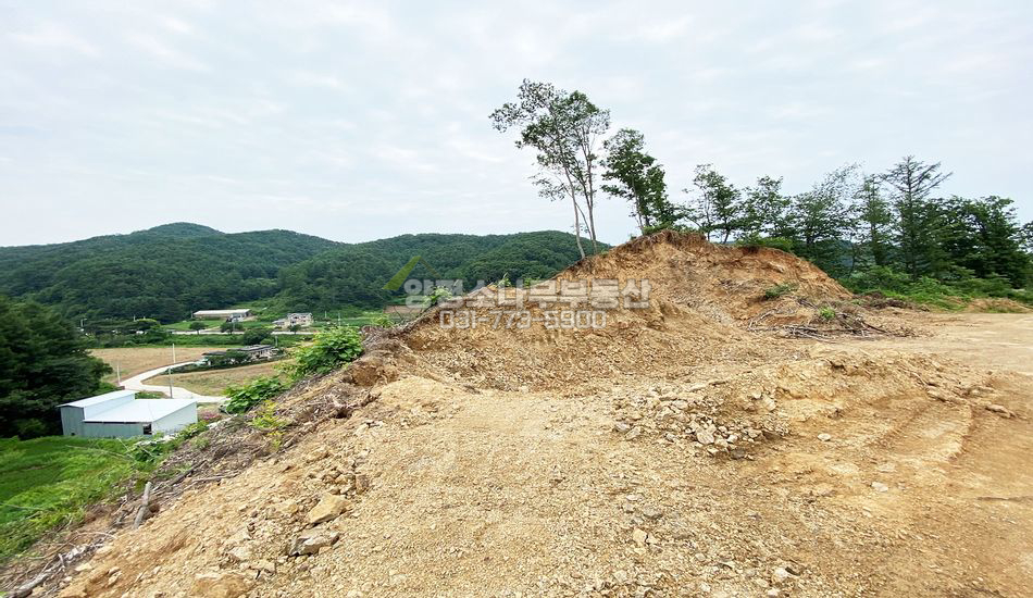 양평군 단월면 부안리 토목공사 해주는 조건/저렴한땅