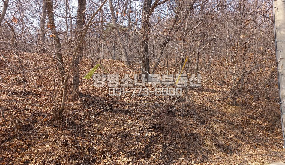 양평군 개군면 부리 원형질 임야/지방도 인근