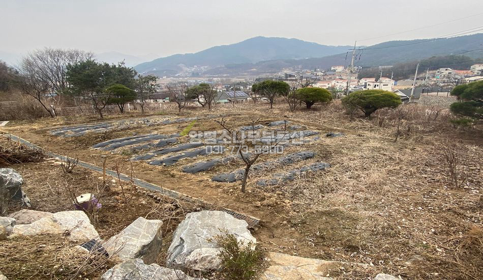 양평군 용문면 화전리 대로변인근 건평넓은 주택/펜션