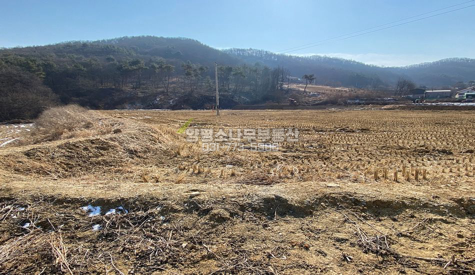 양평군 강하면 전수리 마을내 농지/주택지