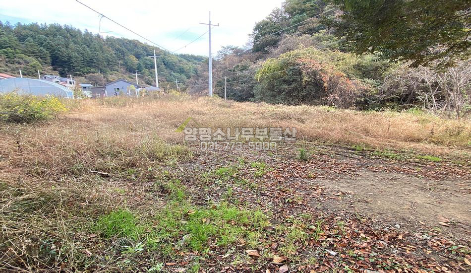 양평군 단월면 산음리 개울인근 토지 임대