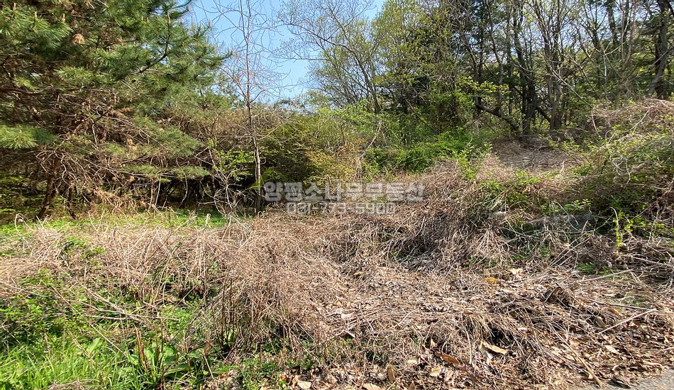 양평군 개군면 공세리 산자락 주택지