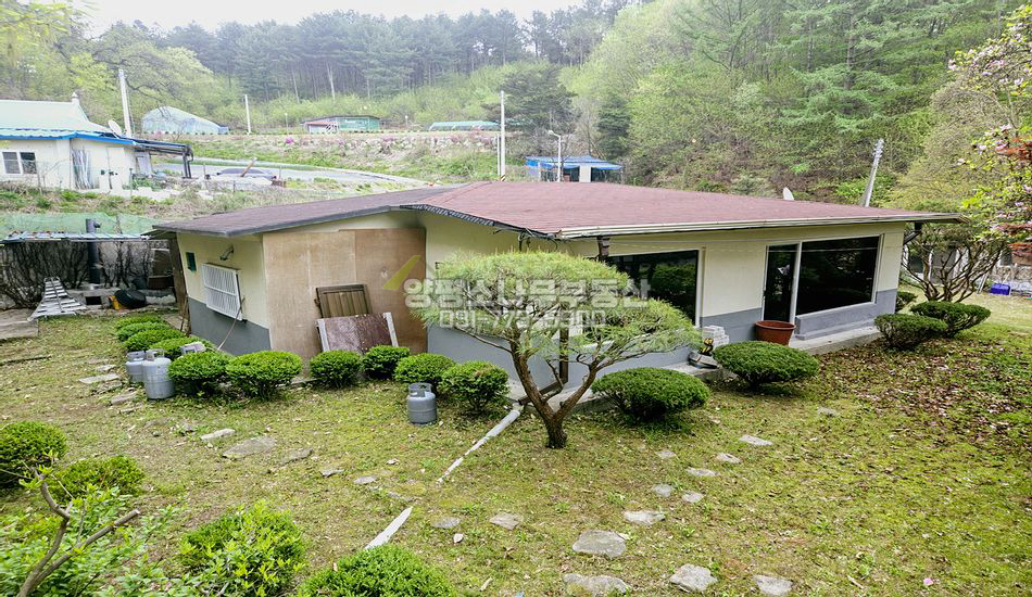 양평군 양동면 계정리 조경이 예쁜 국유림 접한 구옥