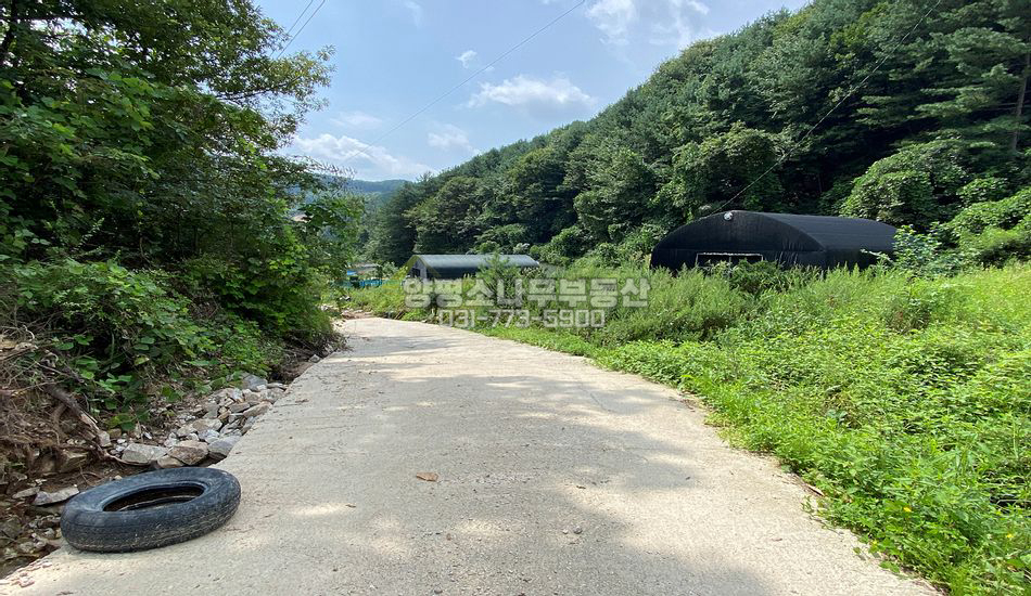 양평군 양동면 계정리 1억대 초반 하우스 농막