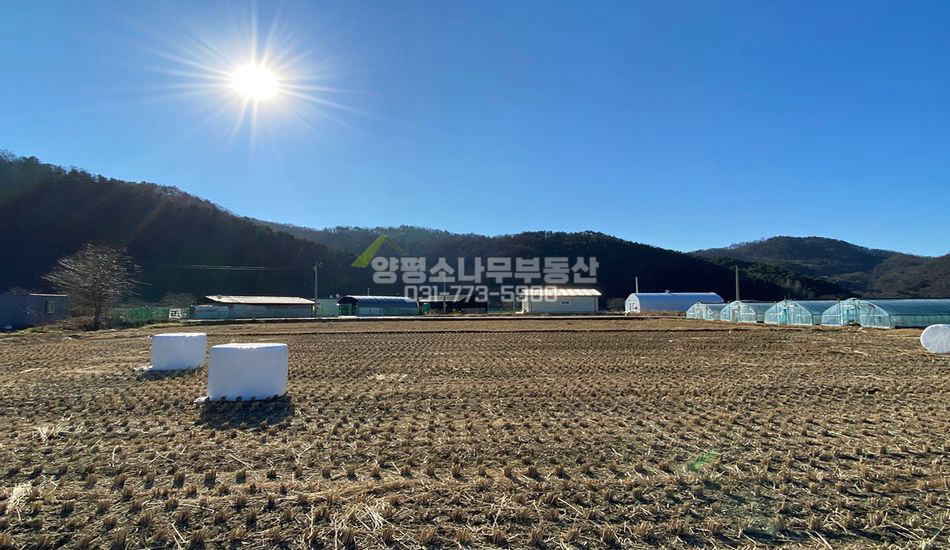 양평군 양평읍 원덕리 원덕역 도보15분 진흥구역 토지