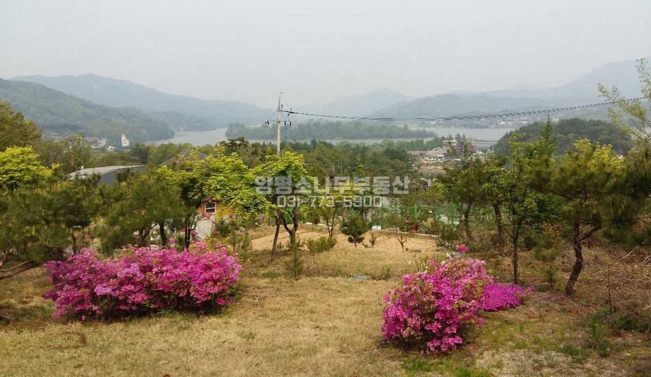 양평군 강하면 운심리 단지상단/강조망/기반완료