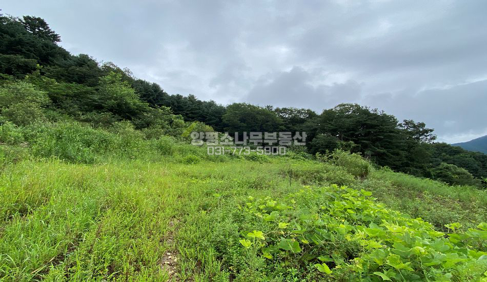양평군 서종면 명달리 마을 상단 산자락 주택지