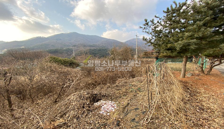 양평군 옥천면 용천리 인기단지 내 주택지