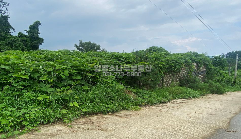 양평군 양서면 청계리 마을상단 보강토토목 주택지