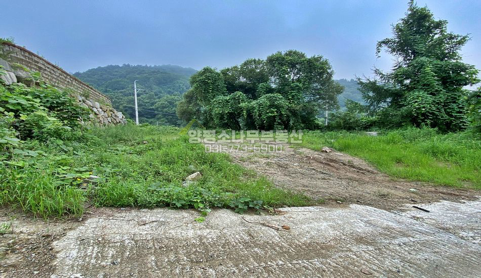 양평군 강상면 송학리 도로사정 좋은 전망좋은 주택지