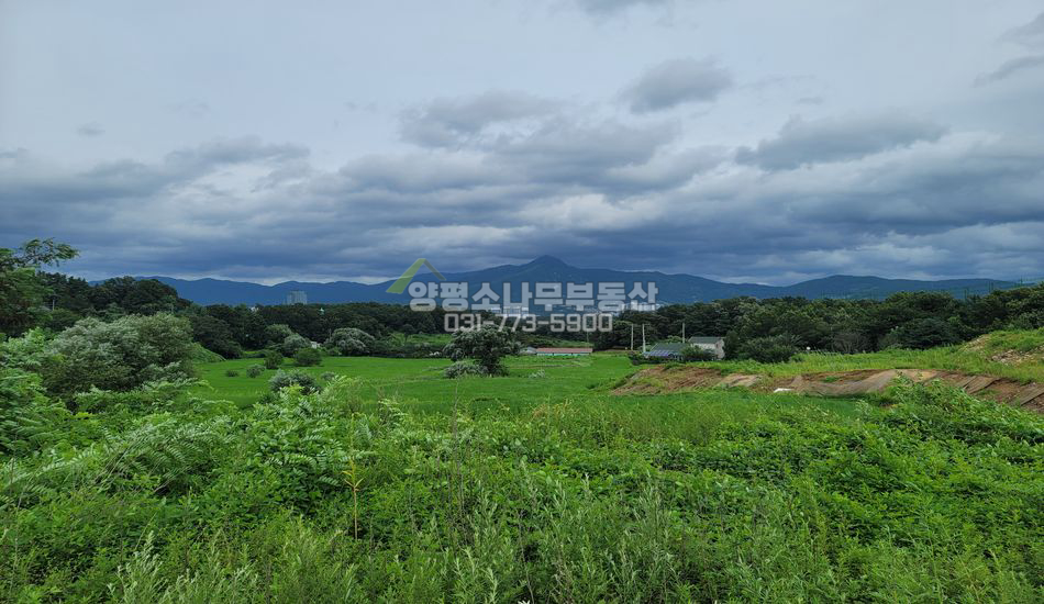 양평군 강상면 교평리 교평리 주택지/분할매매