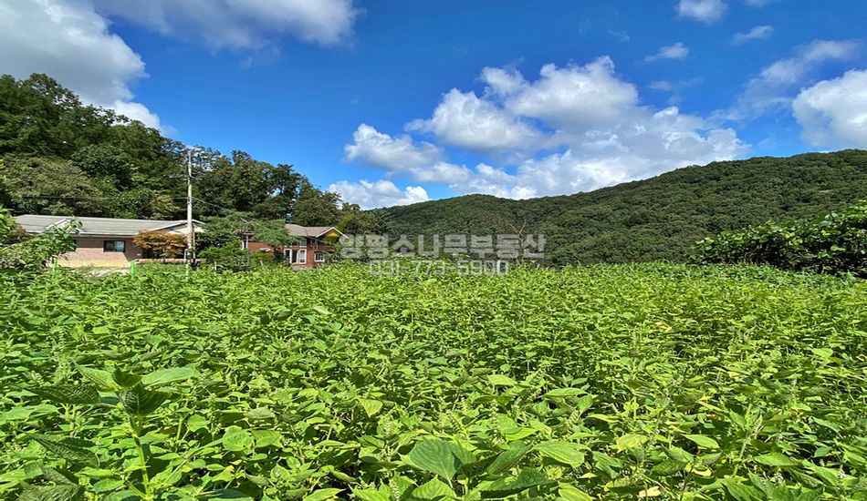 광주시 퇴촌면 우산리 마을상단 트인전망 주택지