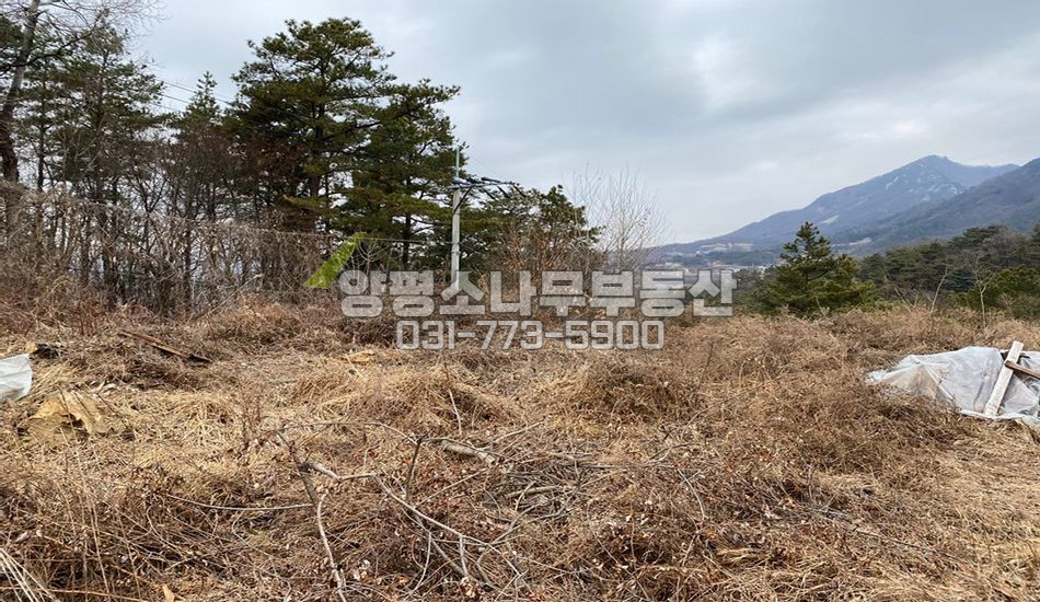 양평군 양평읍 백안리 쉬자파크 가는길 남향필지