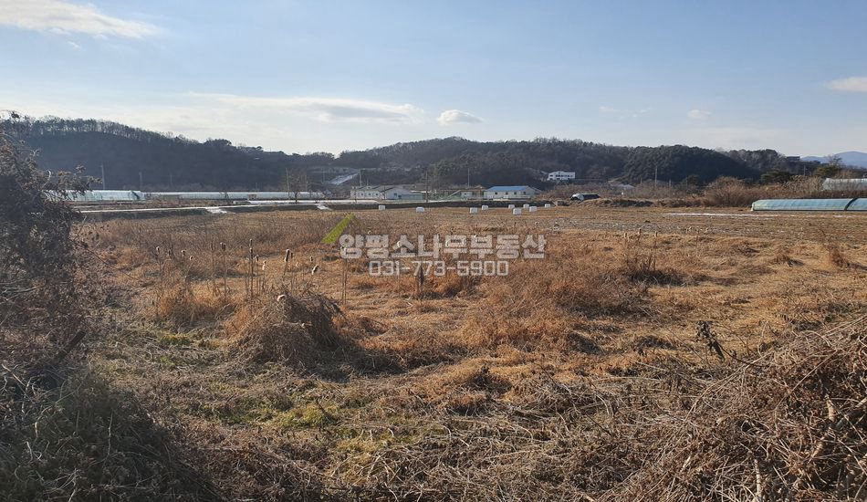 양평군 양평읍 원덕리 원덕역도보 2차선 접함