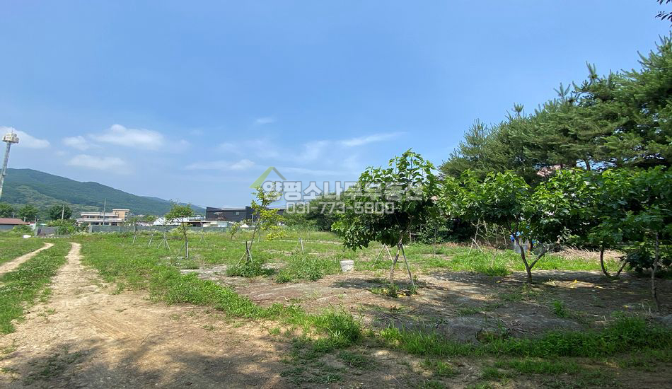 양평군 강상면 화양리 마을초입 진흥구역 농지