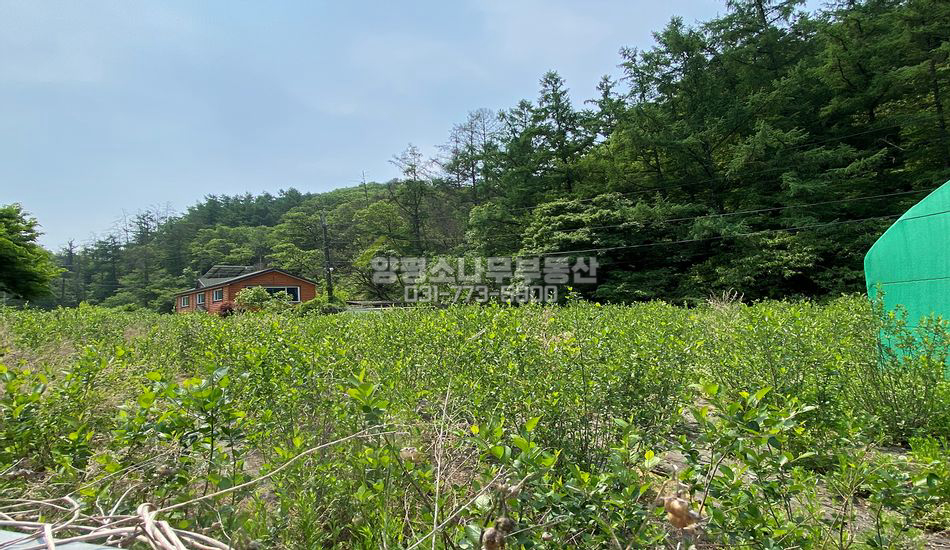 광주시 남종면 귀여리 서울근교 평지 주말농장/그린벨트