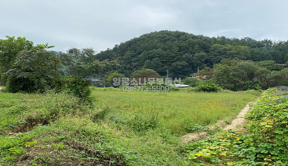 양평군 청운면 갈운리 마을안쪽 평지 주택지/농지