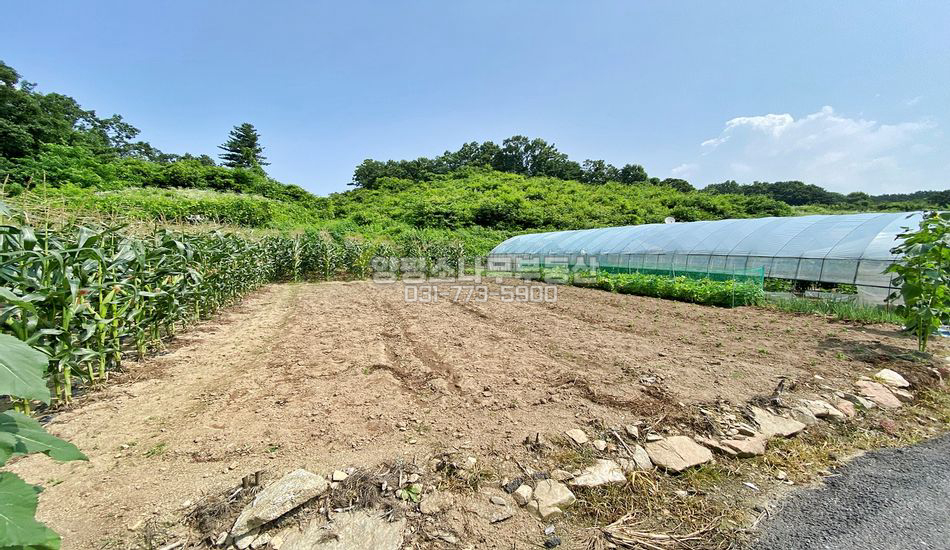 양평군 강상면 송학리 한적한 2차선변 계획관리부지